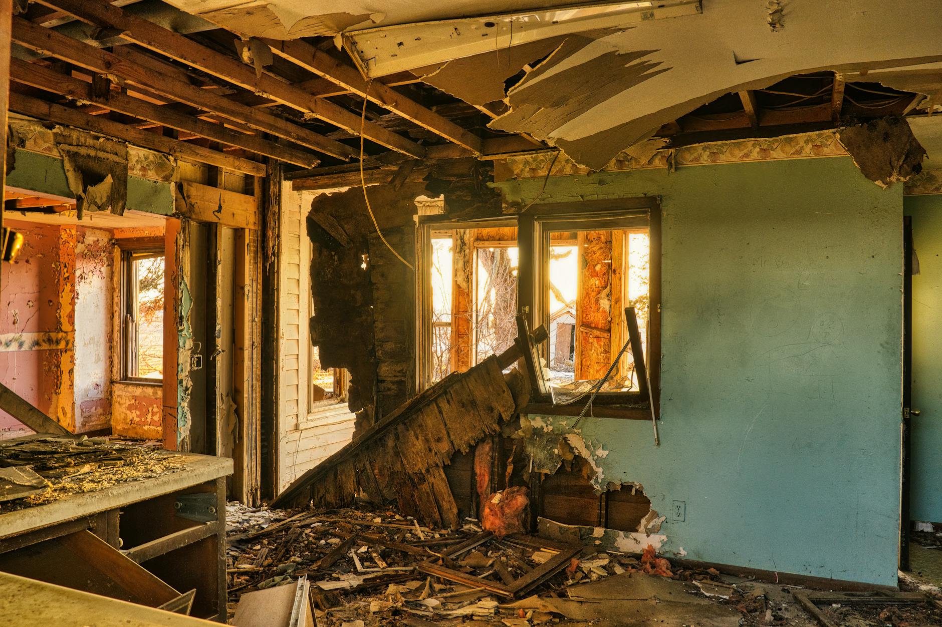 Mold Removal Mold Gallery Orlando